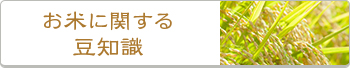 お米に関する豆知識