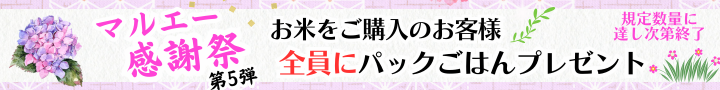 マルエー感謝祭 第5弾 お米をご購入のお客様 全員にパックごはんプレゼント 規定数量に達し次第終了